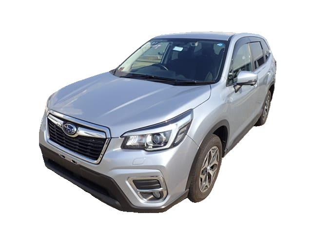 Forester 2019 - suv - montazne body